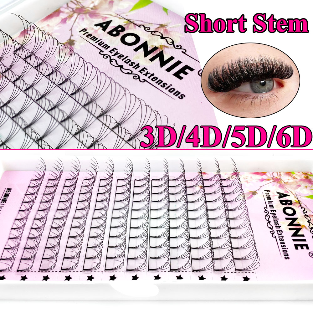 Abonnie 6D Narrow Fan Premade  - Eyelash Extension Human Hair review and price