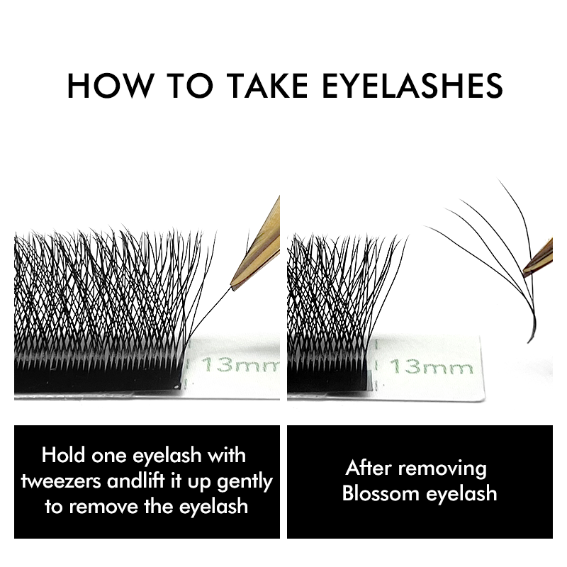 3D 4D 5D 6D W Shaped Clover Ey - Eyelash Extension Russian review and price